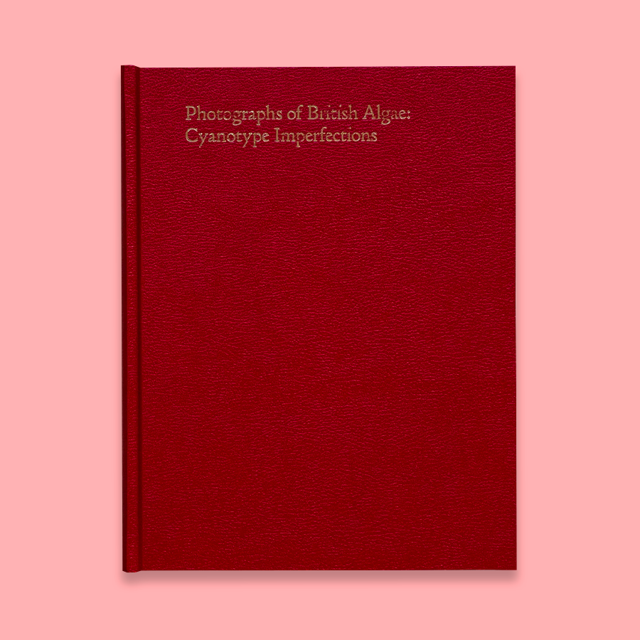 Photographs of British Algae