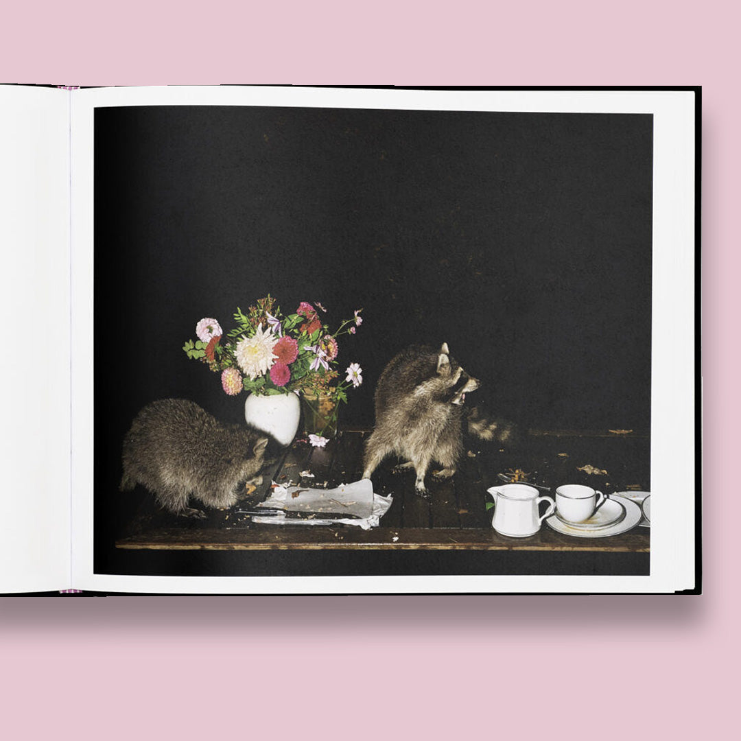 Lia Darjes Plates I-XXXI /French/English