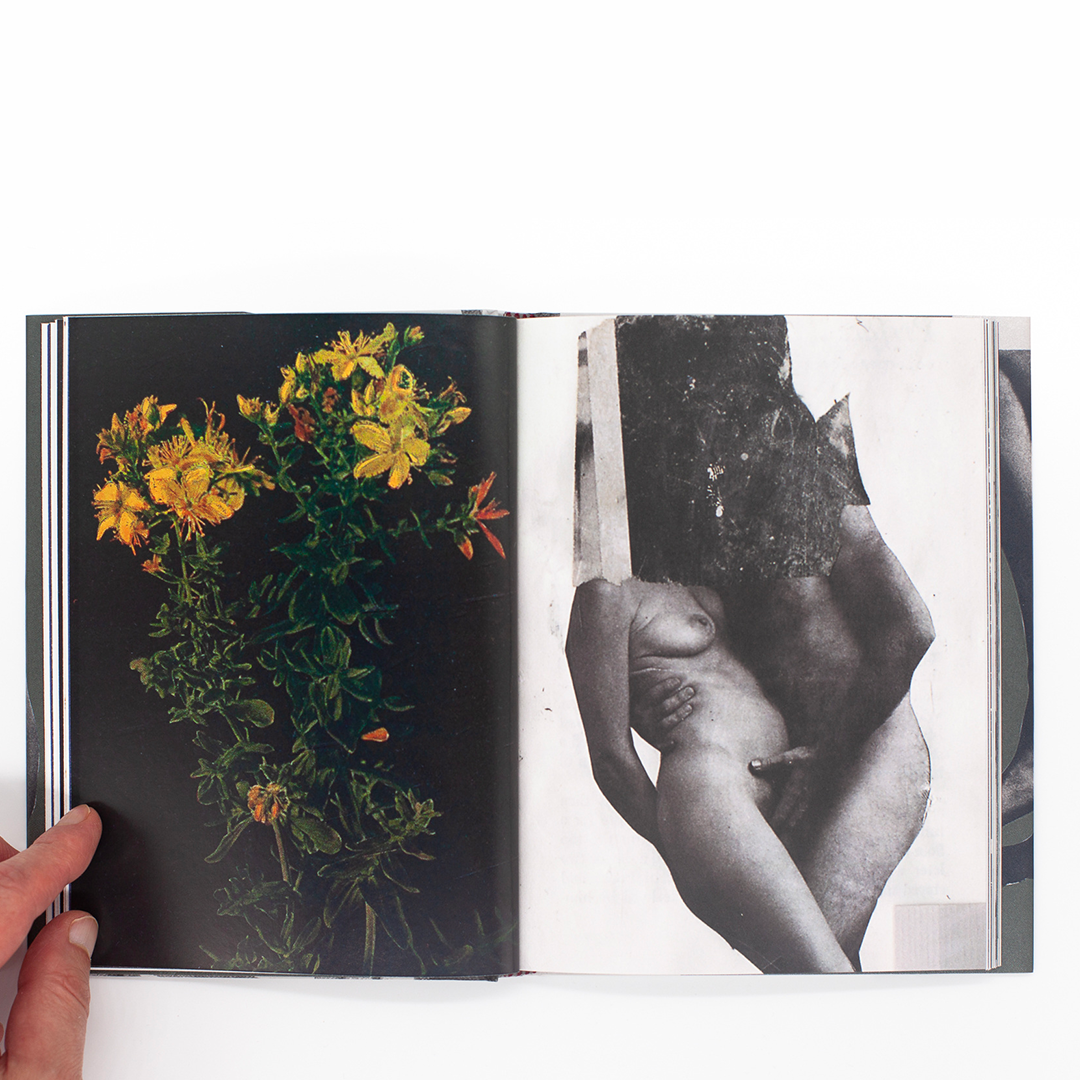 Wild Flowers
