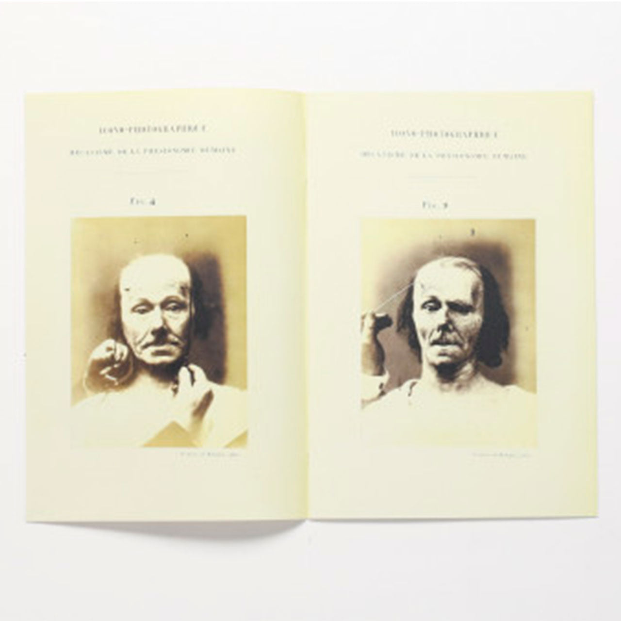 Specimen - photographic electrophysiology