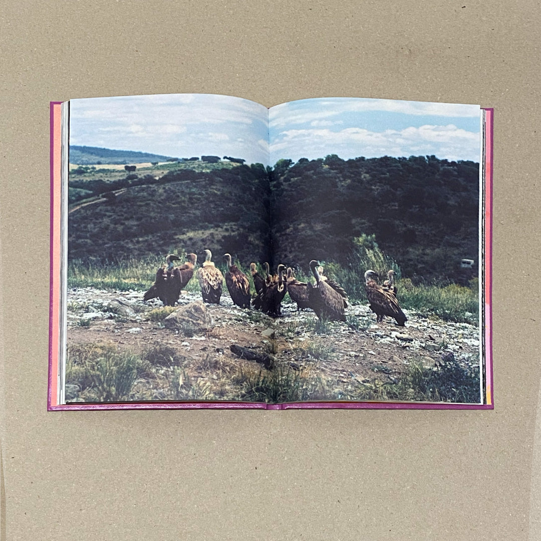 Anima - encounters with wild animals in Portugal