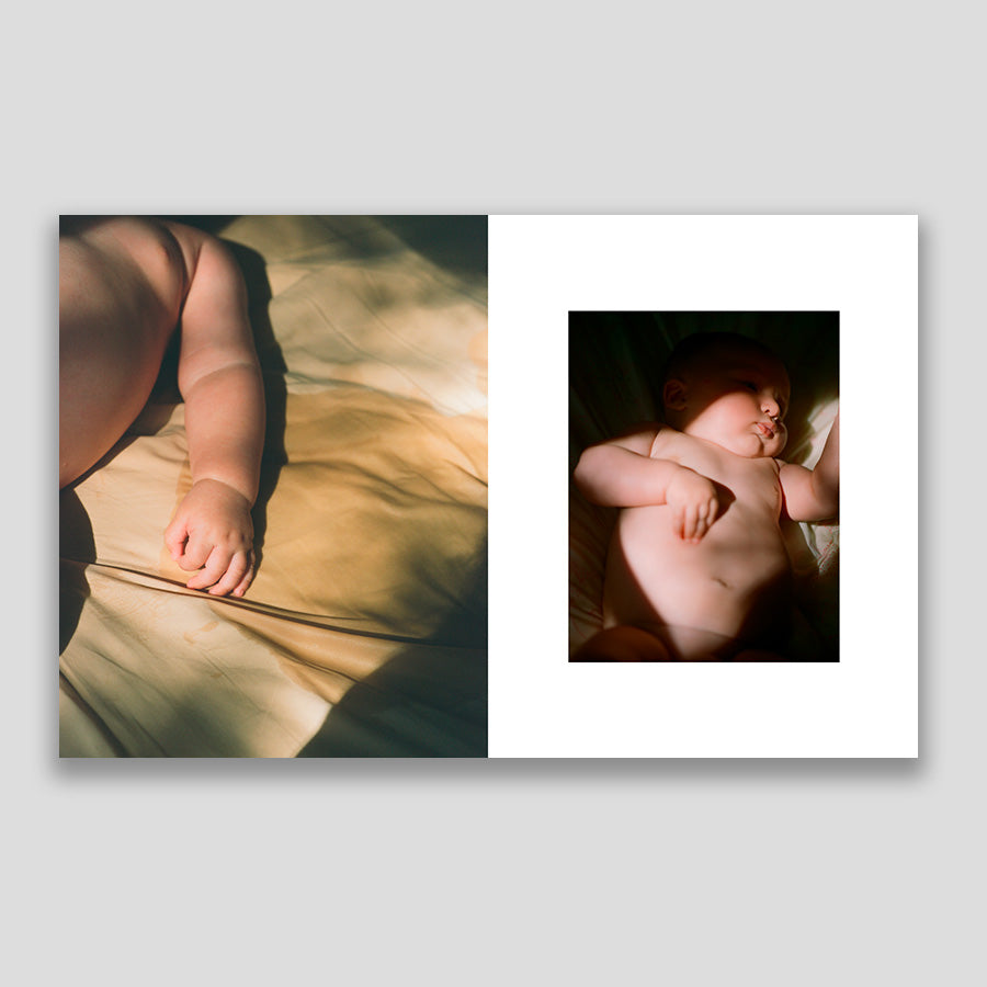 Carlotta Manaigo A Study on Folds (Season Series #9 Spring) /anglais