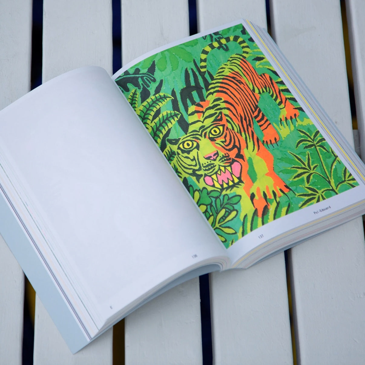 Shoplifter issue 9: drawings