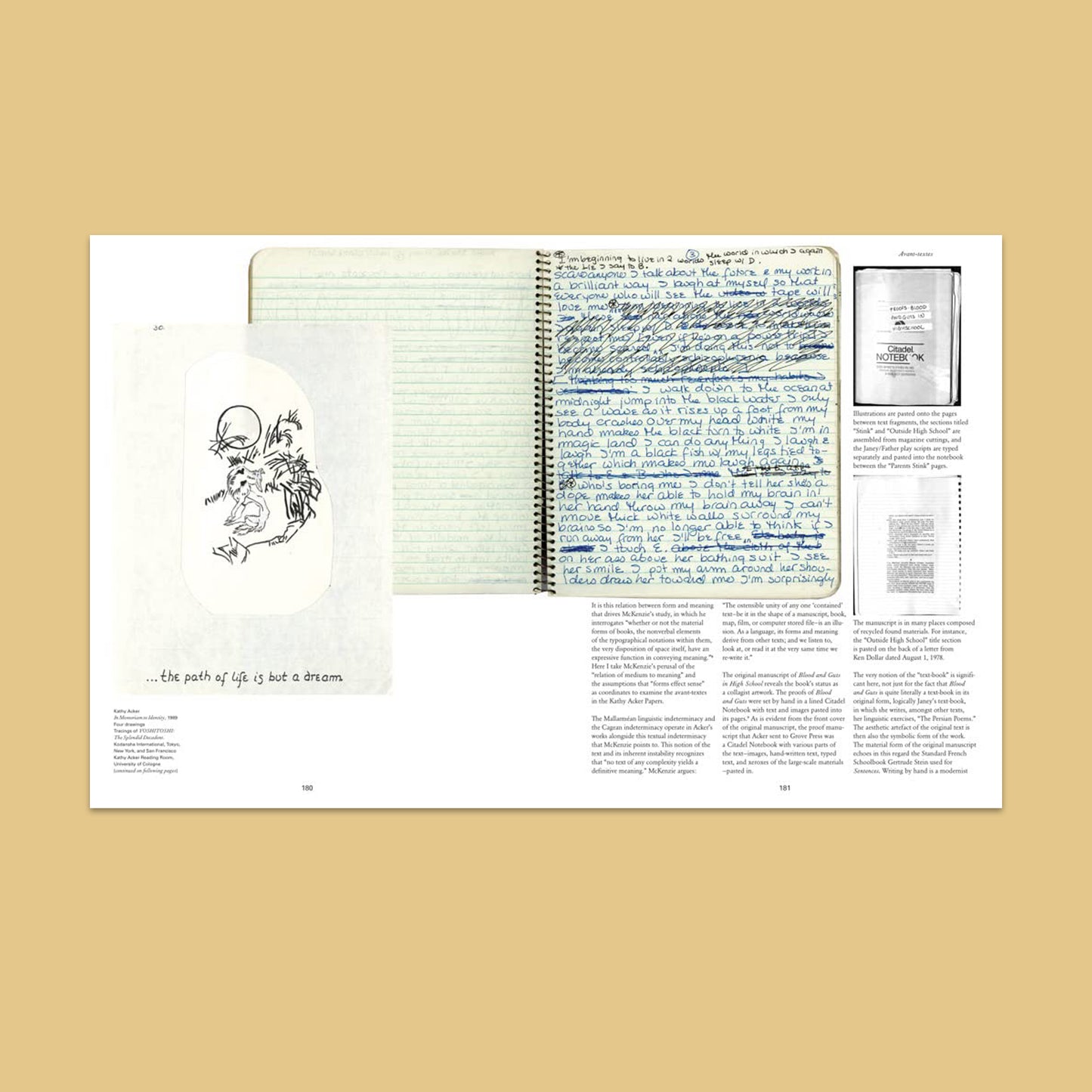 Kathy Acker: Get Rid of Meaning