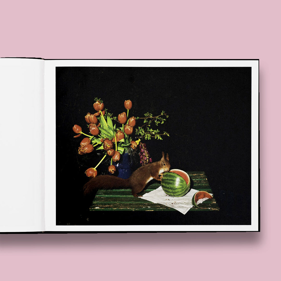 Lia Darjes Plates I-XXXI /French/English
