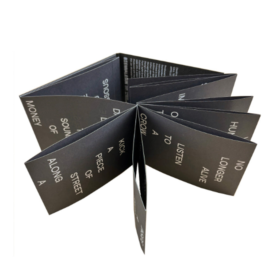 David Horvitz - Call To A Crow