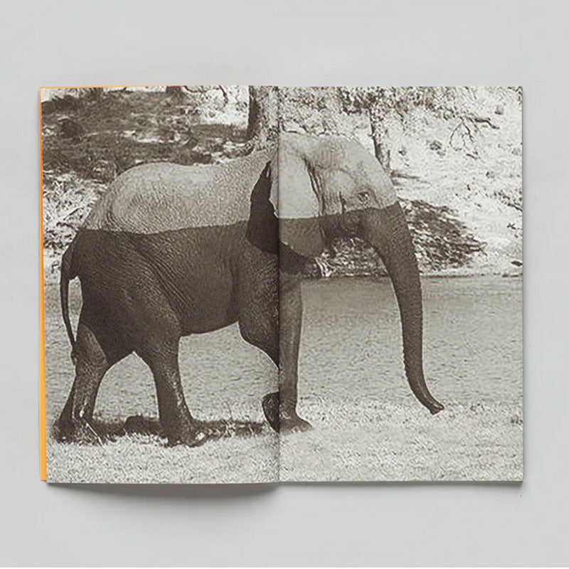 Thomas Mailaender Animal Party /franCais