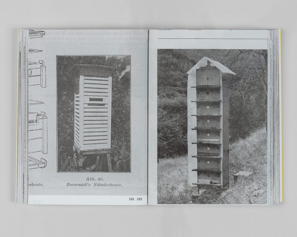 Hives, A.E.C-1852 E.C.
