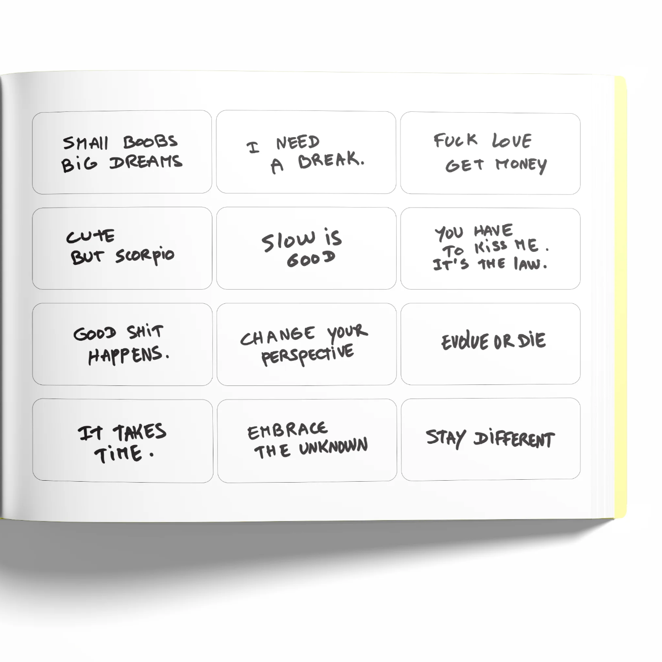 Thomas LElu & Lee Shulman Couldn't Care Less - an anonymous project