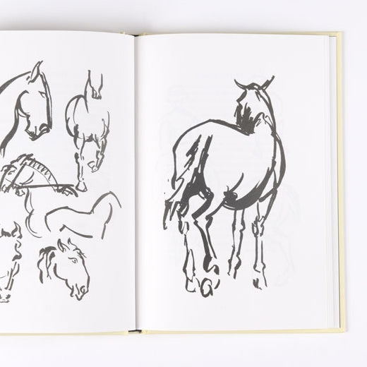 Animal Sketching