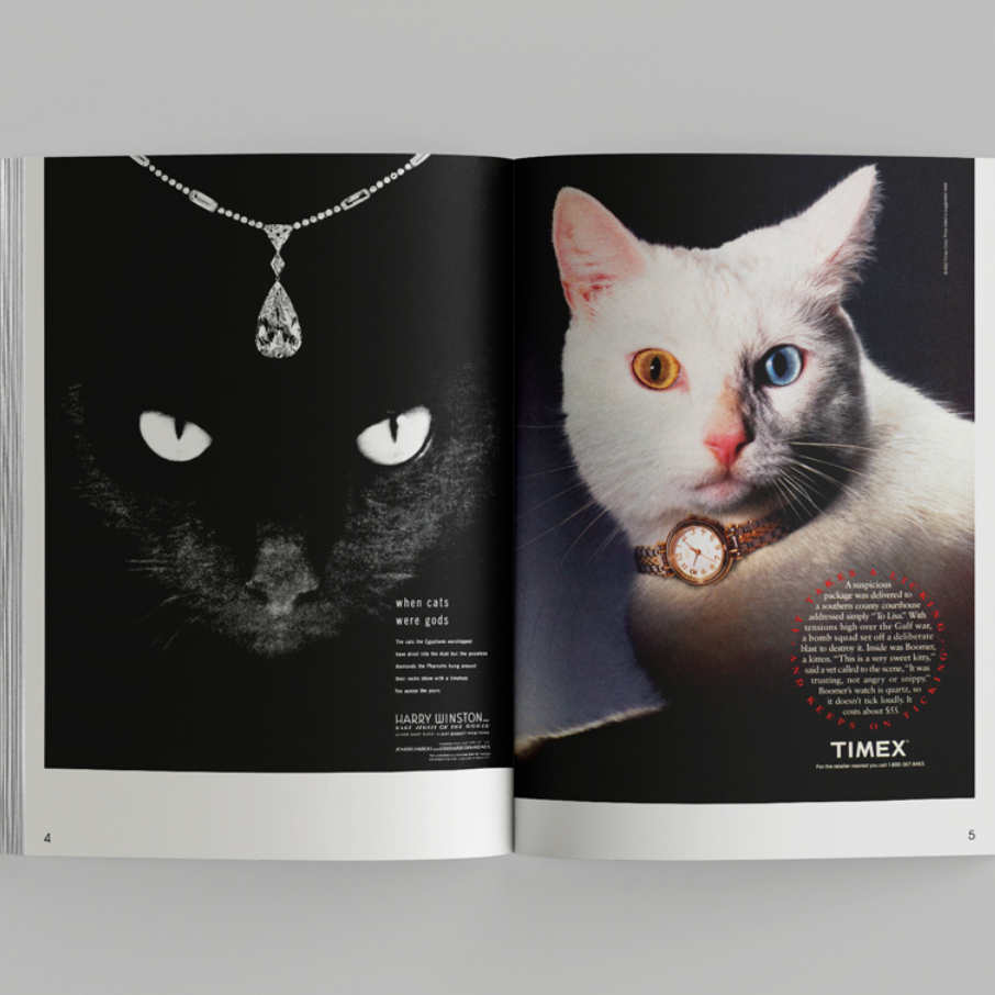 More than cat food