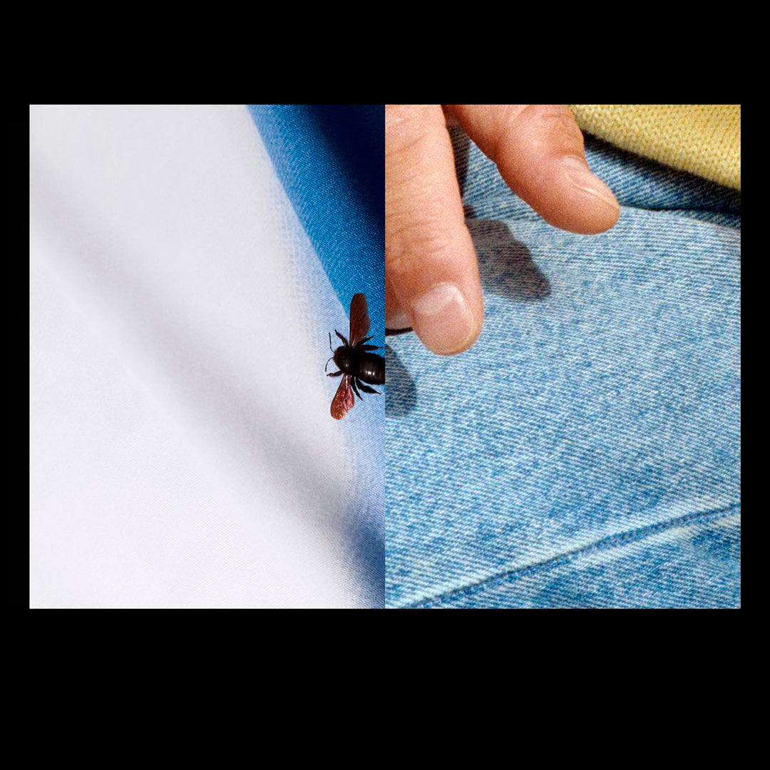 Lemons gazing at Mount Etna