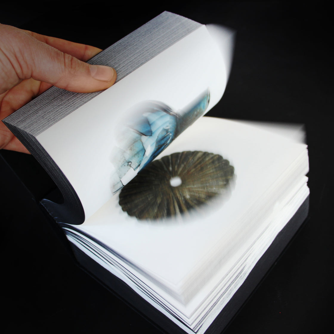 Amsterdam Onder/Under