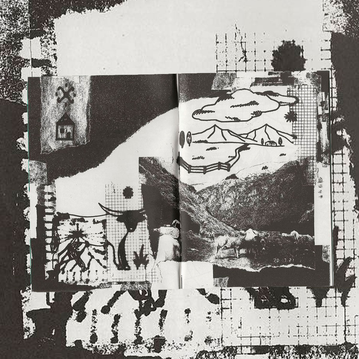 The house and the mountain