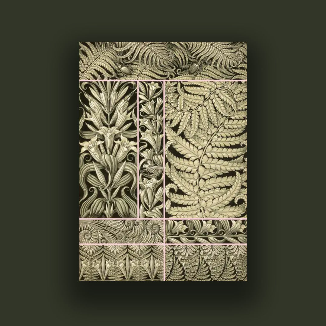 Fantaisies & ornements - planches décoratives d'Anton Seder