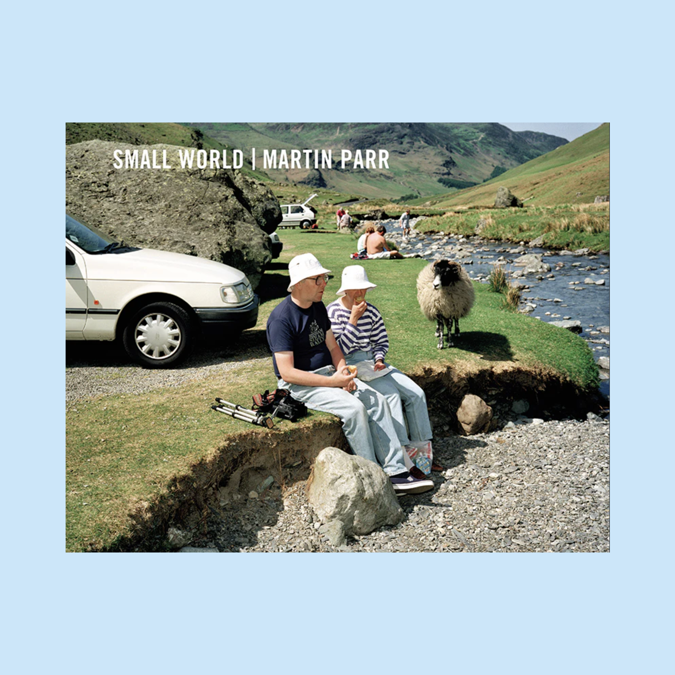 Small World - New Revised Edition
