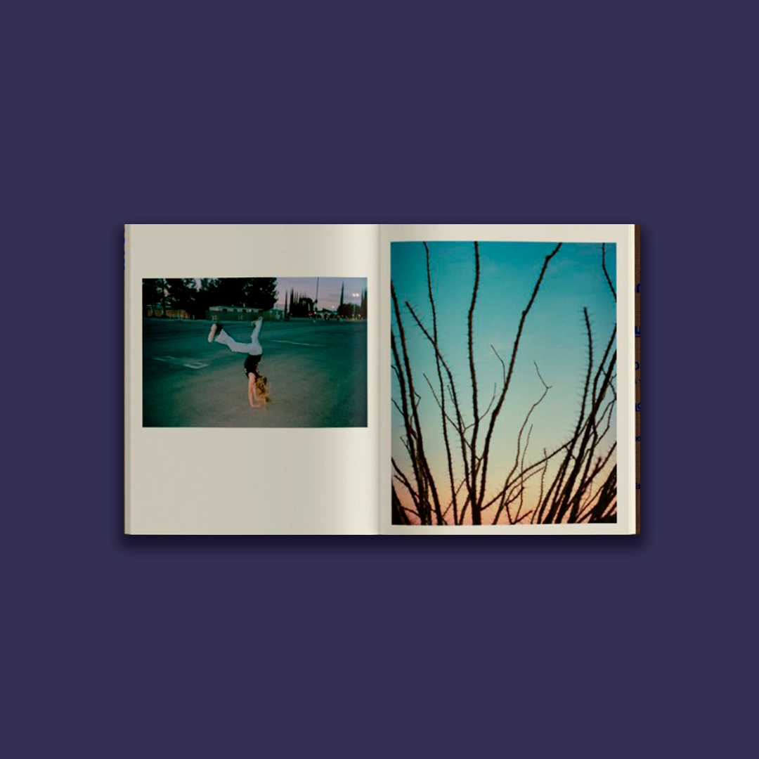 The color of money and trees