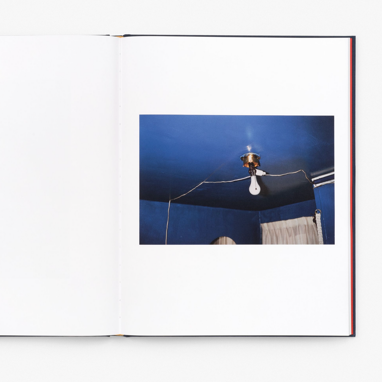 William Eggleston The Last Dyes