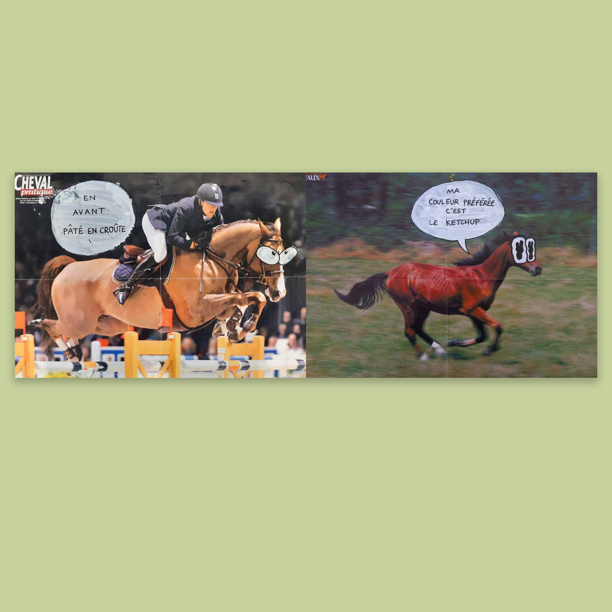 Horse Passion - Volume 3
