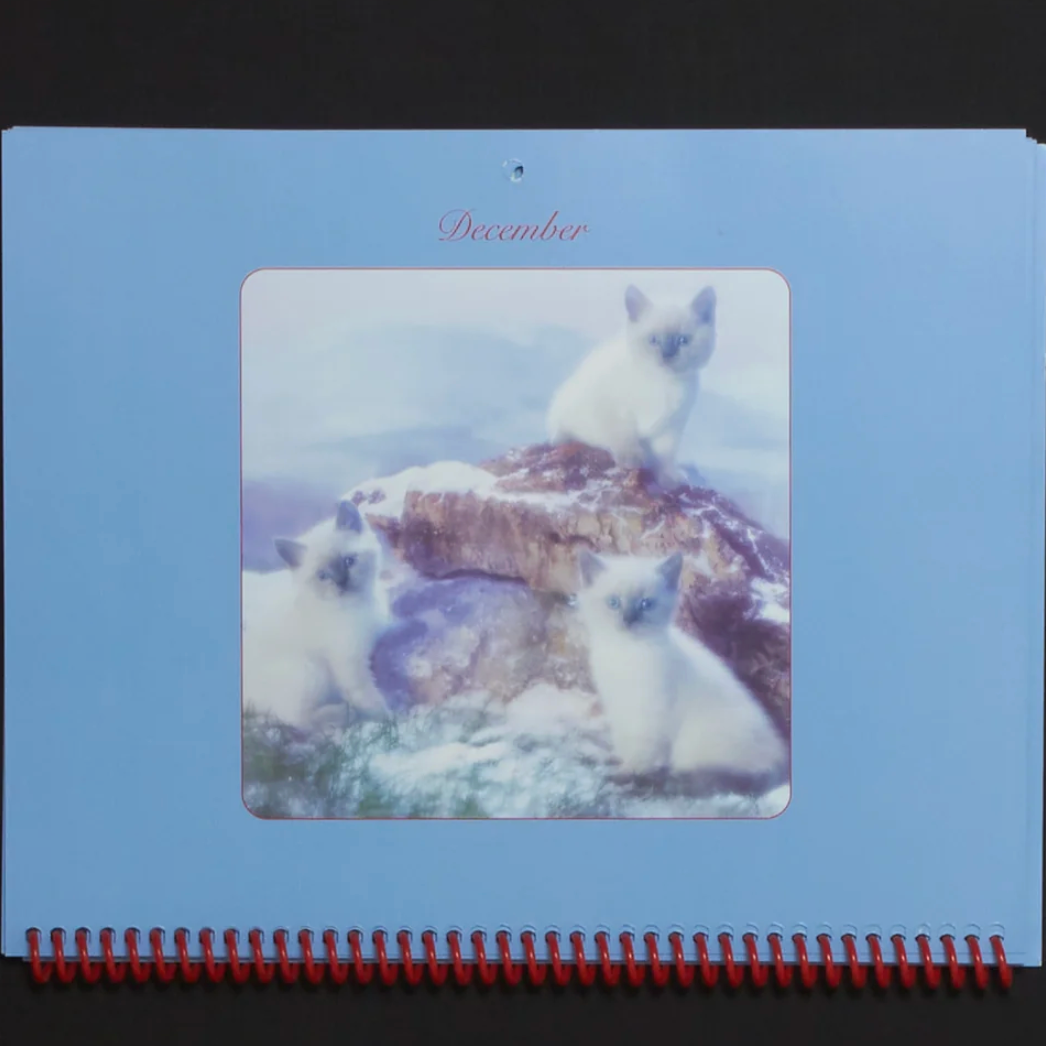 Pussycats, calendar 2026