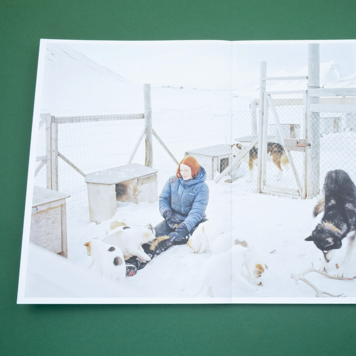 Only Barely Still : on women and wilderness