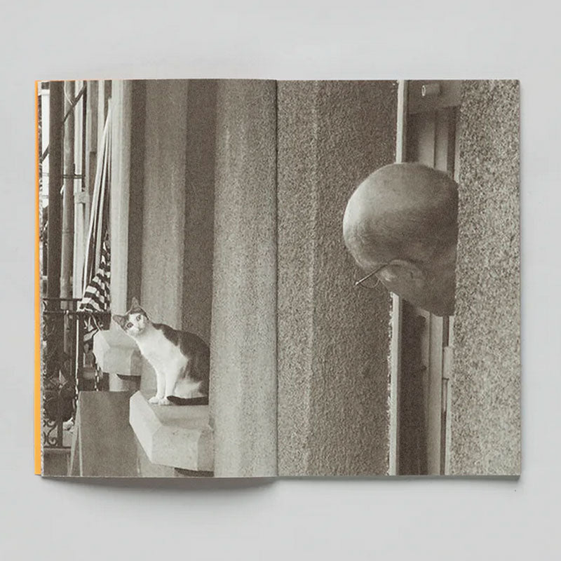 Thomas Mailaender Animal Party /franCais