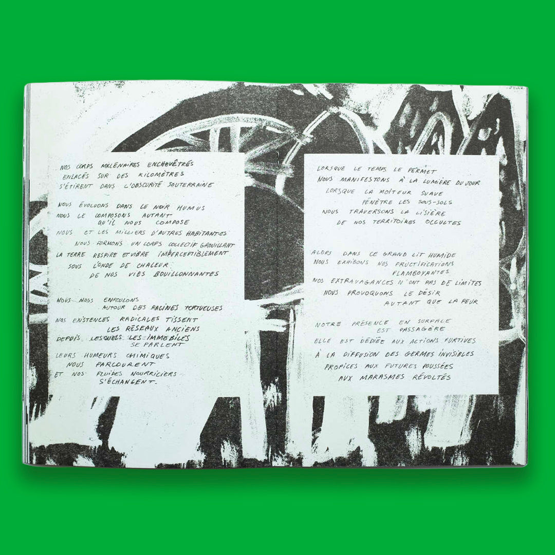 To the rebellious quagmires