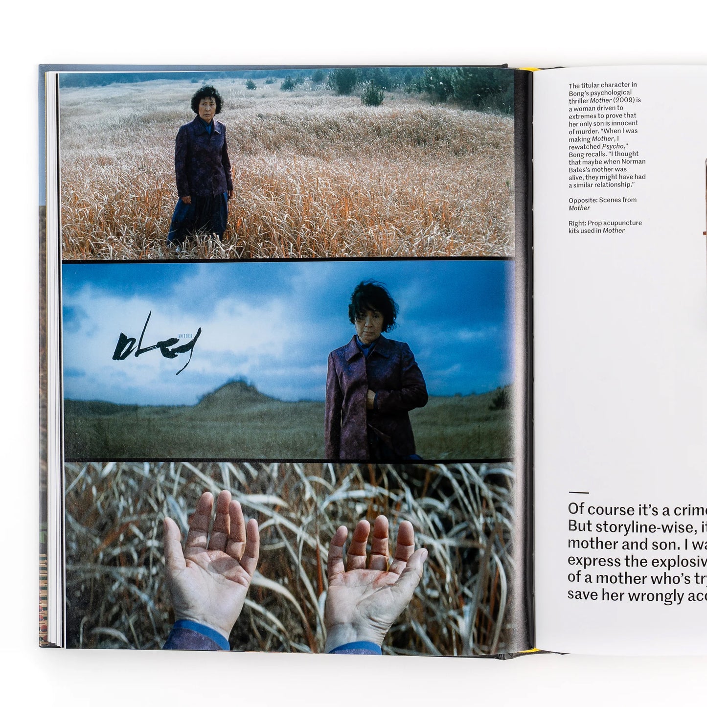 Bong Joon Ho: Director s Inspiration