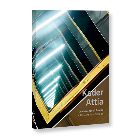 Kader Attia A Descent into Paradise