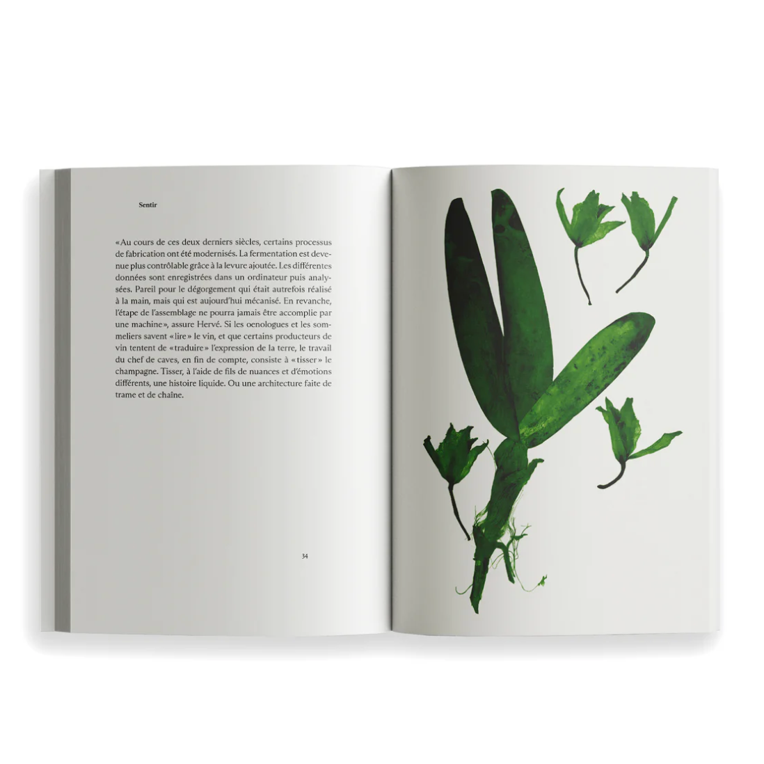 Ryoko Sekiguchi Sentir