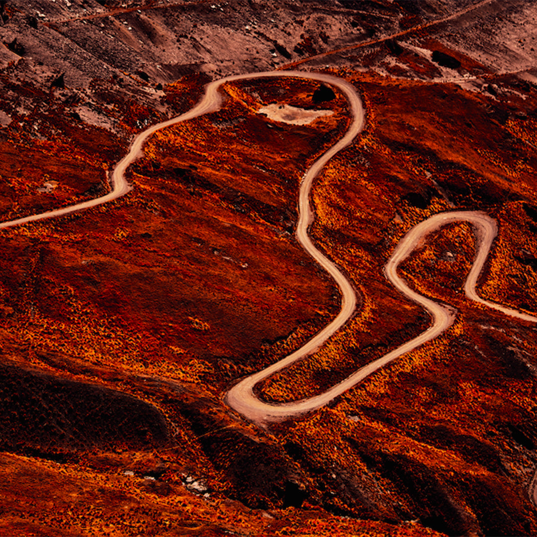 The Serpent's Trail