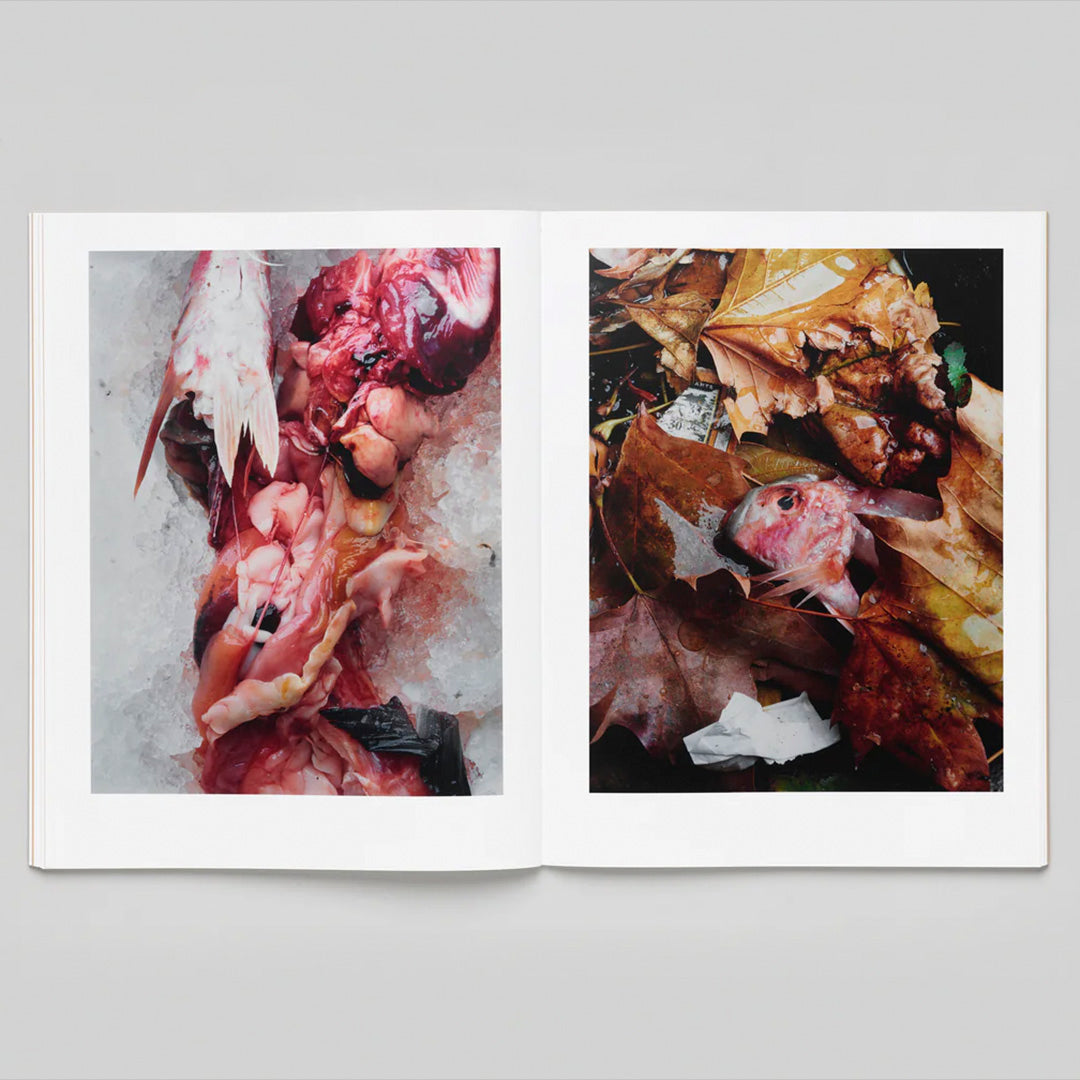 Charles NEgre Sidewalk Stills /franCais/anglais