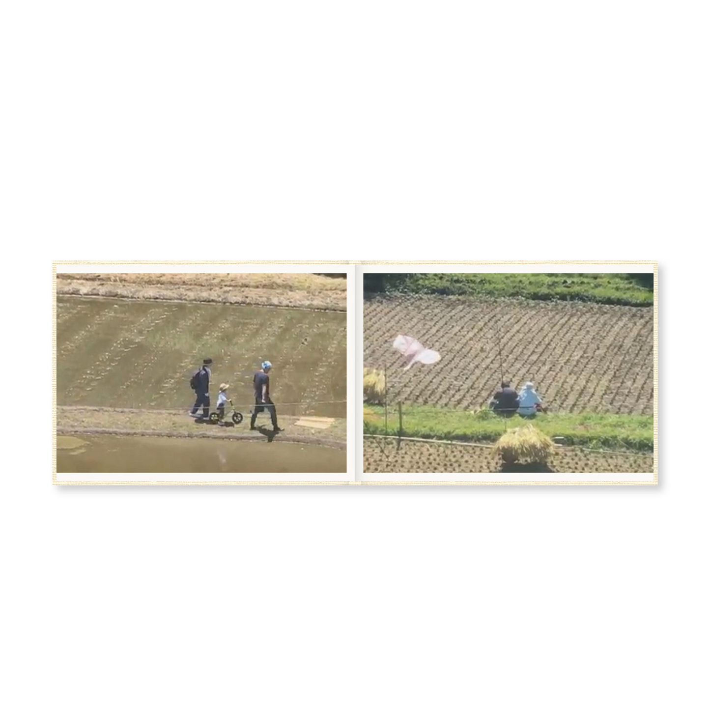 Cintia Tortosa Santisteban Screenshots of a Rice Field and its Surroundings
