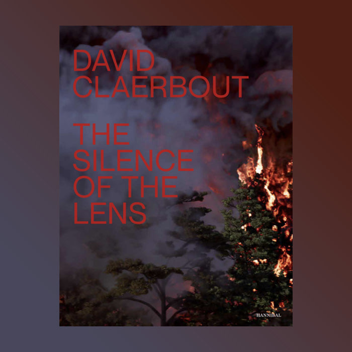 David Claerbout: Silence of the Lens
