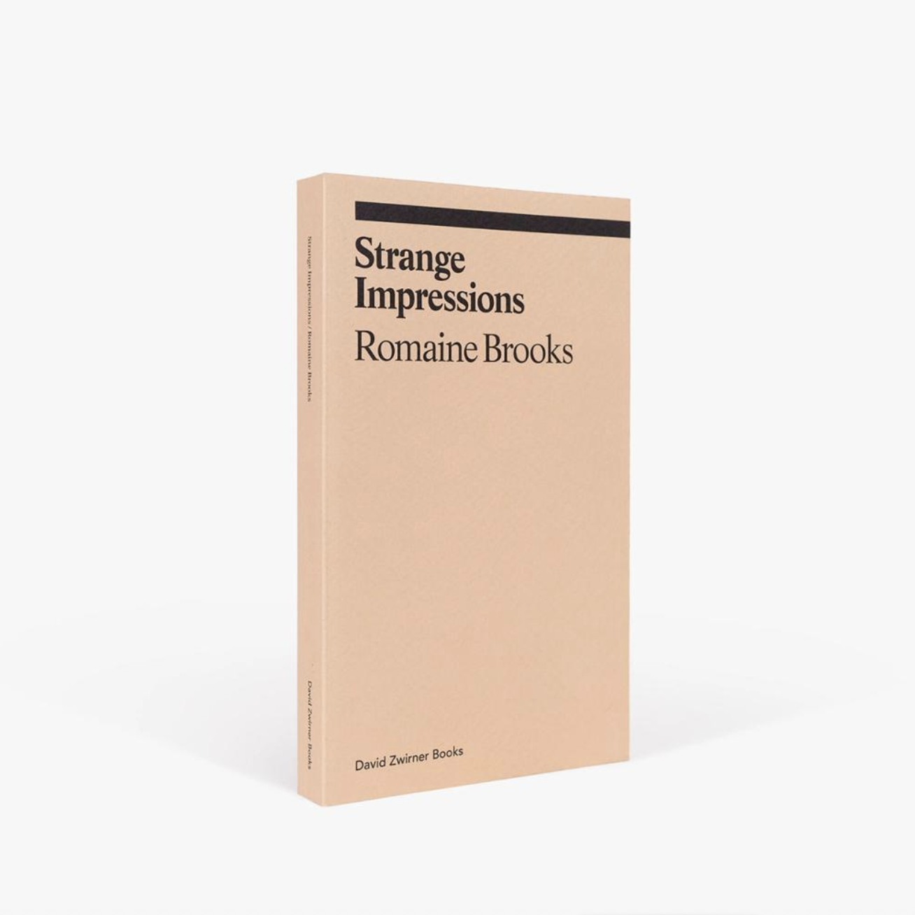 Romaine Brooks Strange Impressions