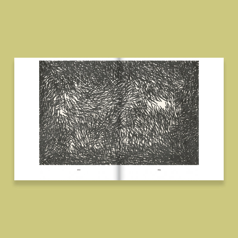 Nicolas Ortigosa, Works 2002-2018