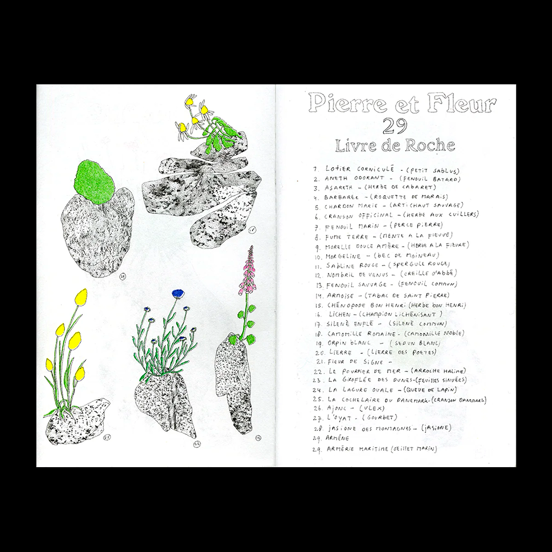 Pierre et fleur - Zine