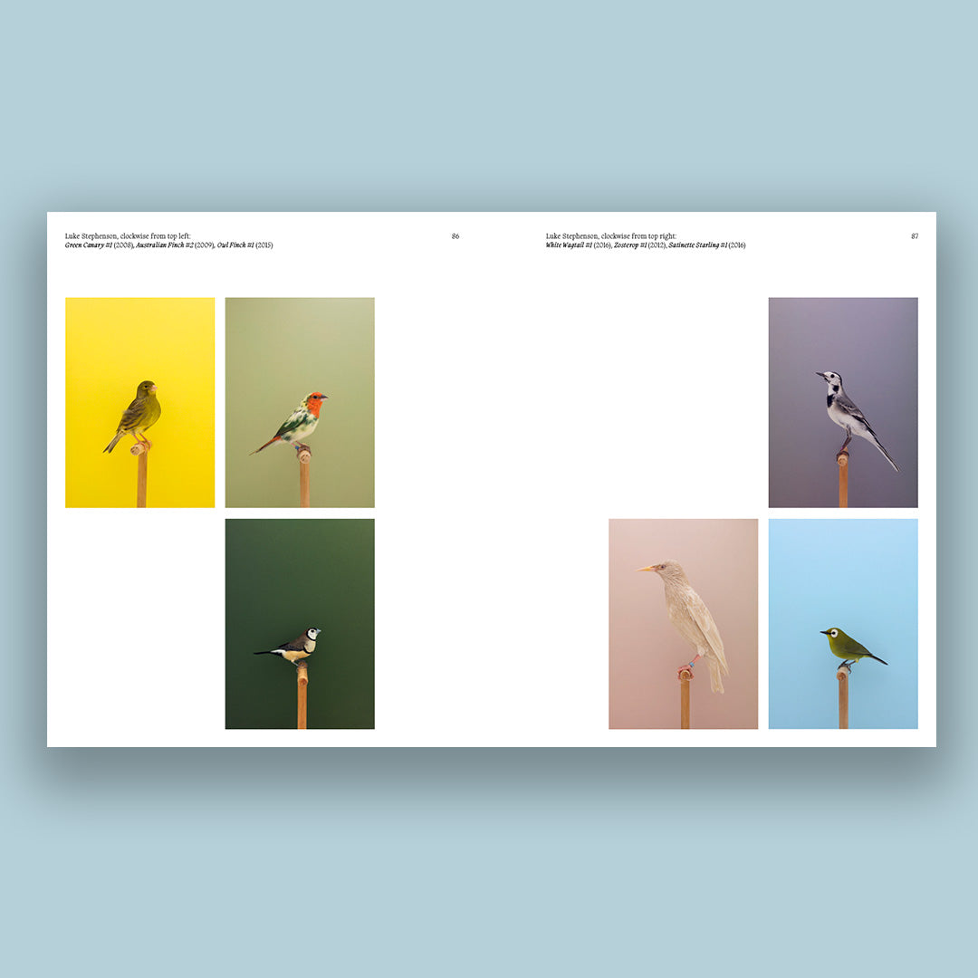 Aviary : The Bird in Contemporary Photography