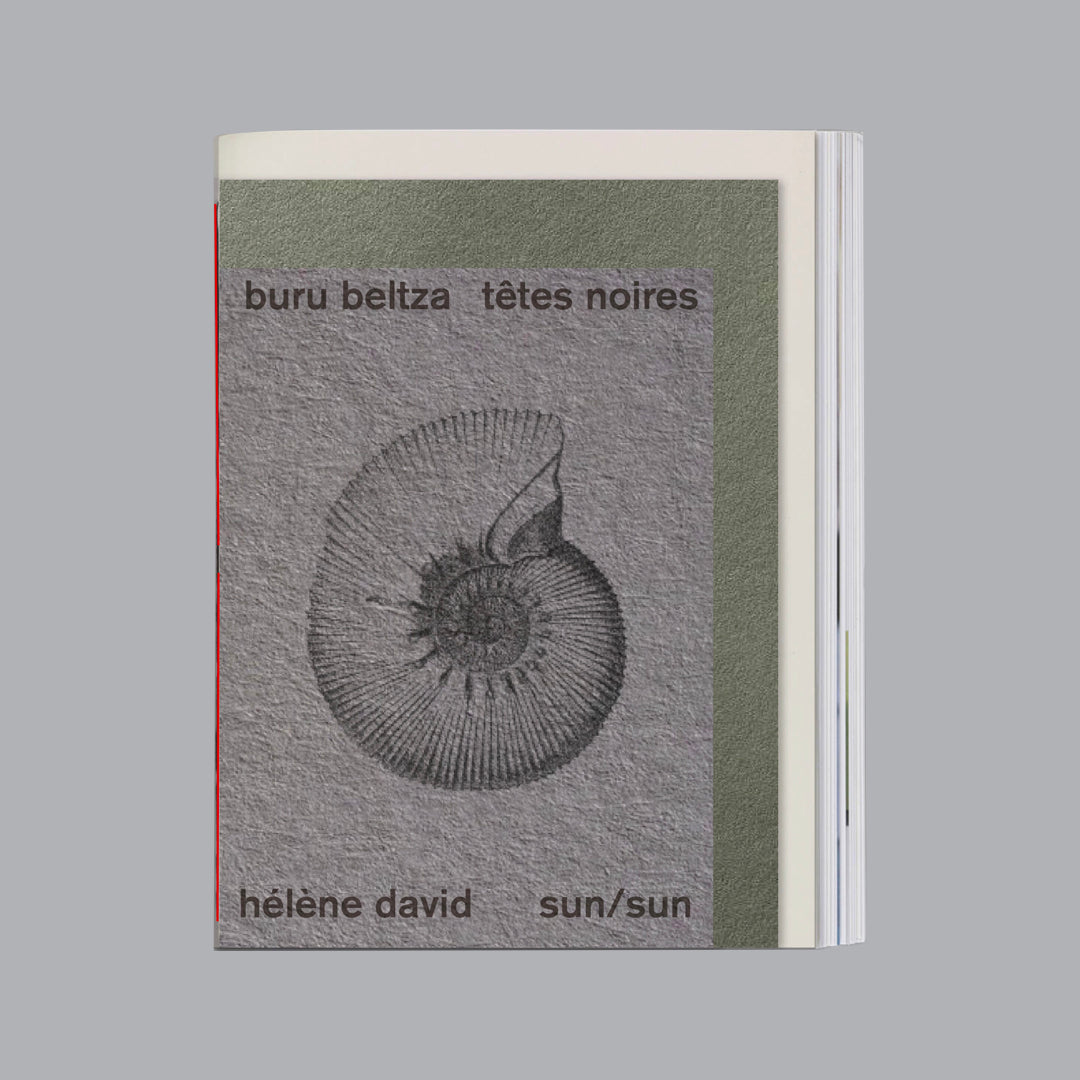 Hélène David Têtes Noires/Buru Beltza - Une Enquête-fiction au Pays Basque