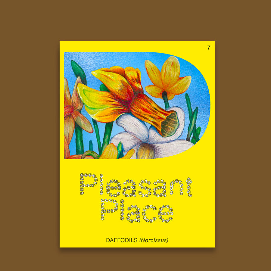 Pleasant Place 7: Daffodils (Narcissus)