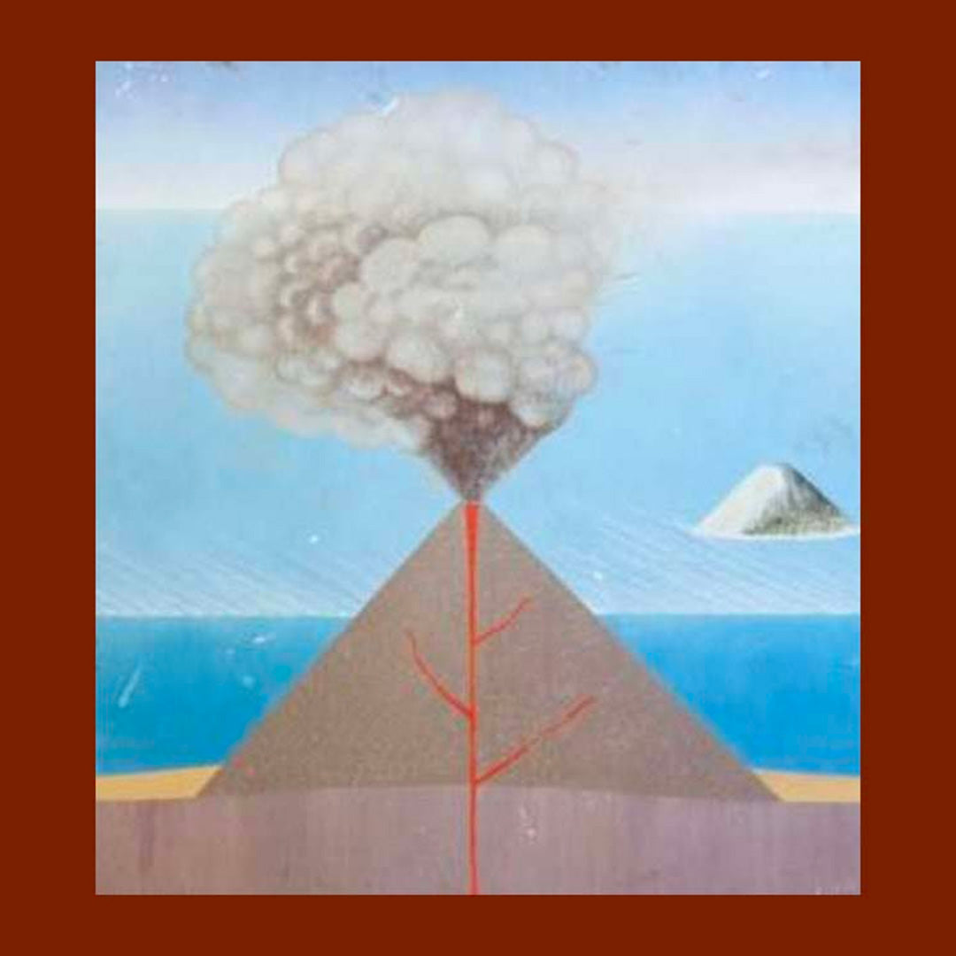 Guide to Trees + Guide to Fossils