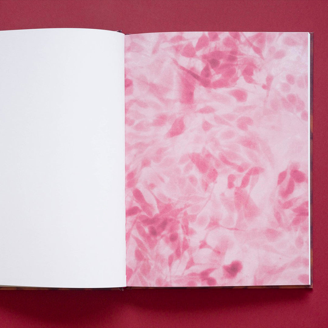 Three drops of blood like a flower