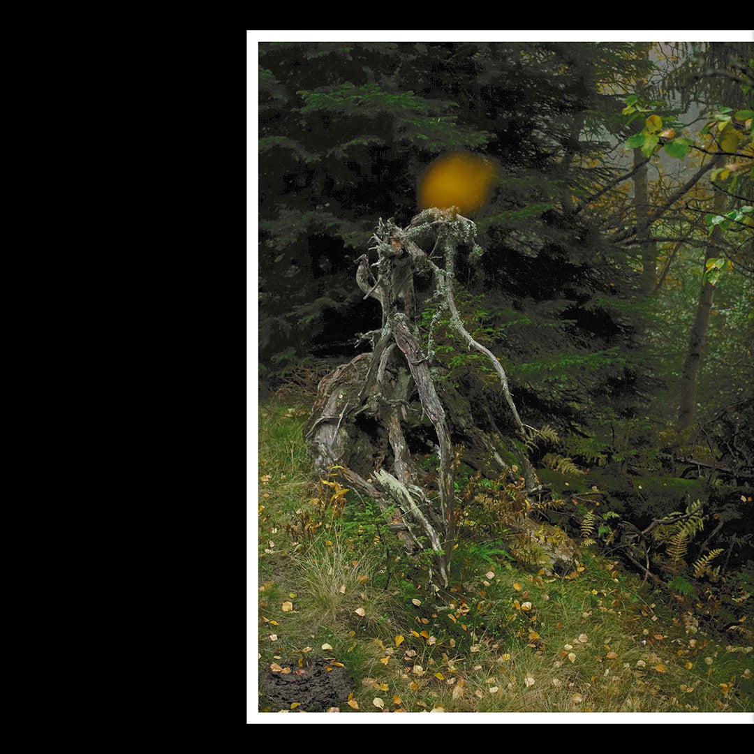 Alpii - Revue d'Interrogations Alpines