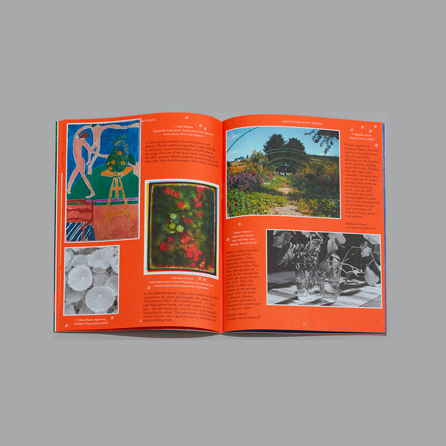 Pleasant Place 2: Nasturtiums (Tropaeolum Majus)