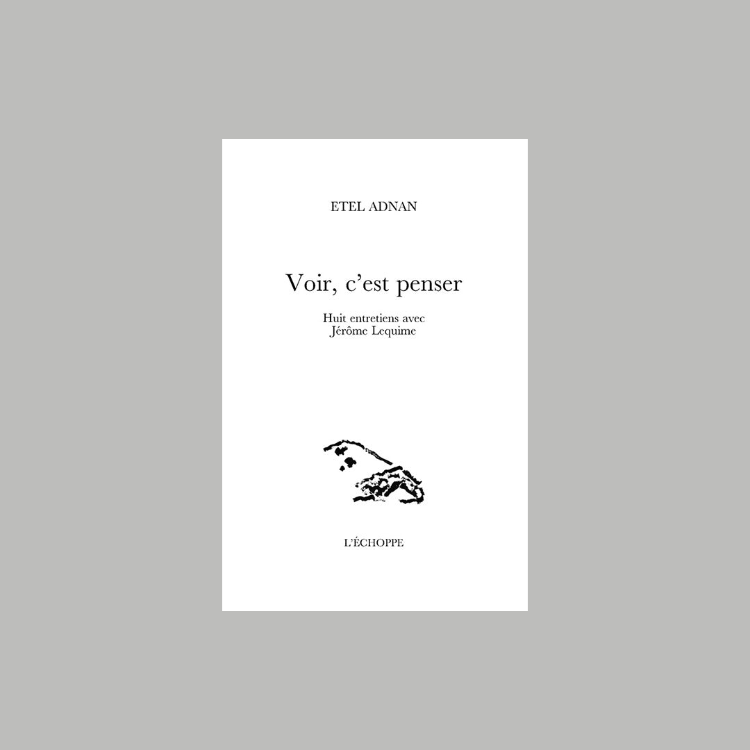 Voir, c’est penser