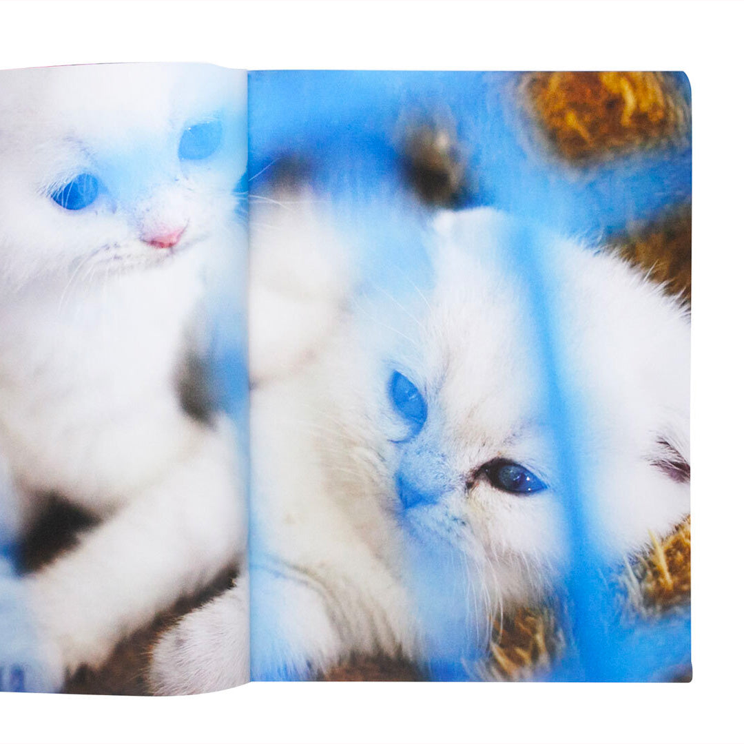 Eternity in a Moment Vol 1