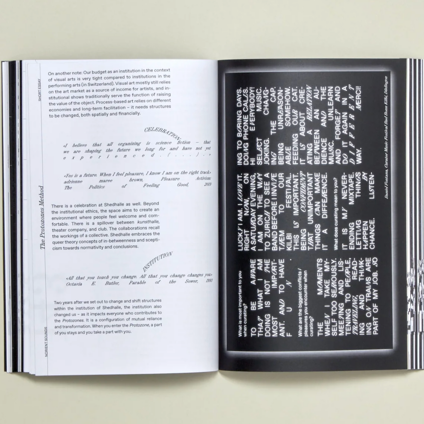 Politics of Curatorship: Collective and Affective Interventions