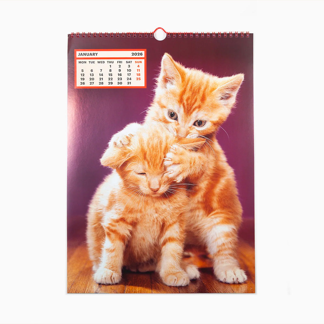 ToiletWalter PaperChandoha