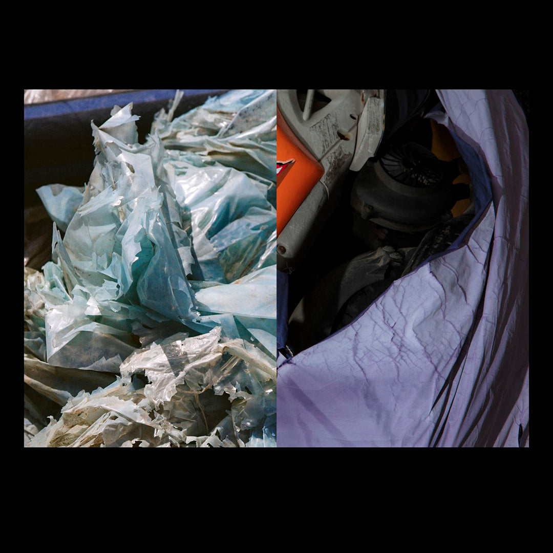 Lemons gazing at Mount Etna