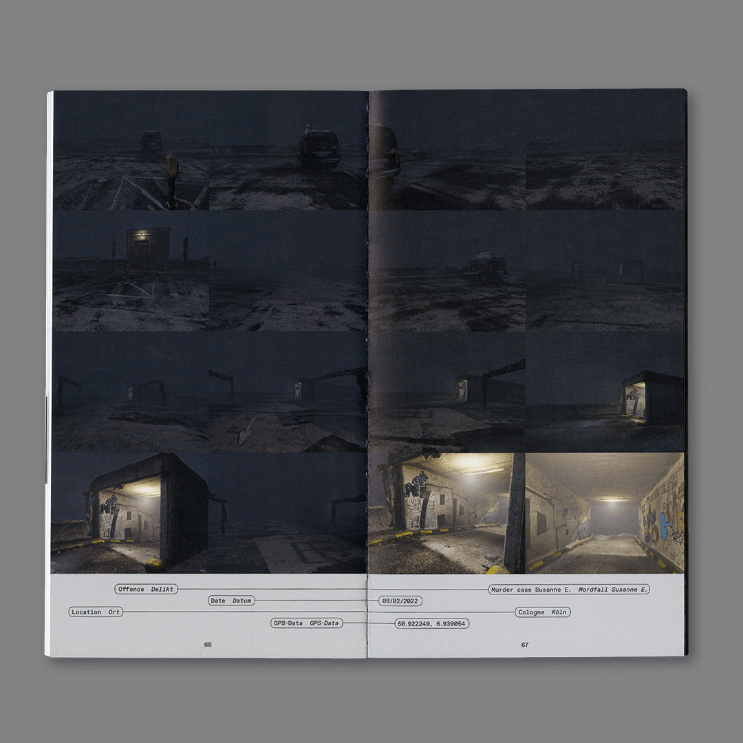 The perfect crime: concerning the murder of reality